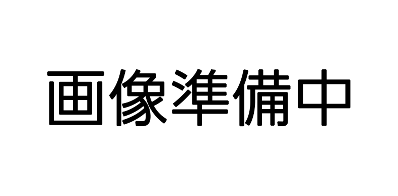  ワンナイトマンション